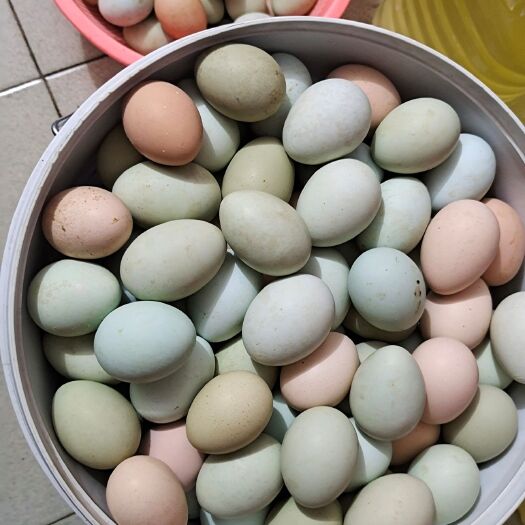 遂川县绿壳蛋 食用 箱装 