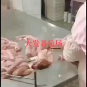 各种规格兔肉白条和分割兔肉产品