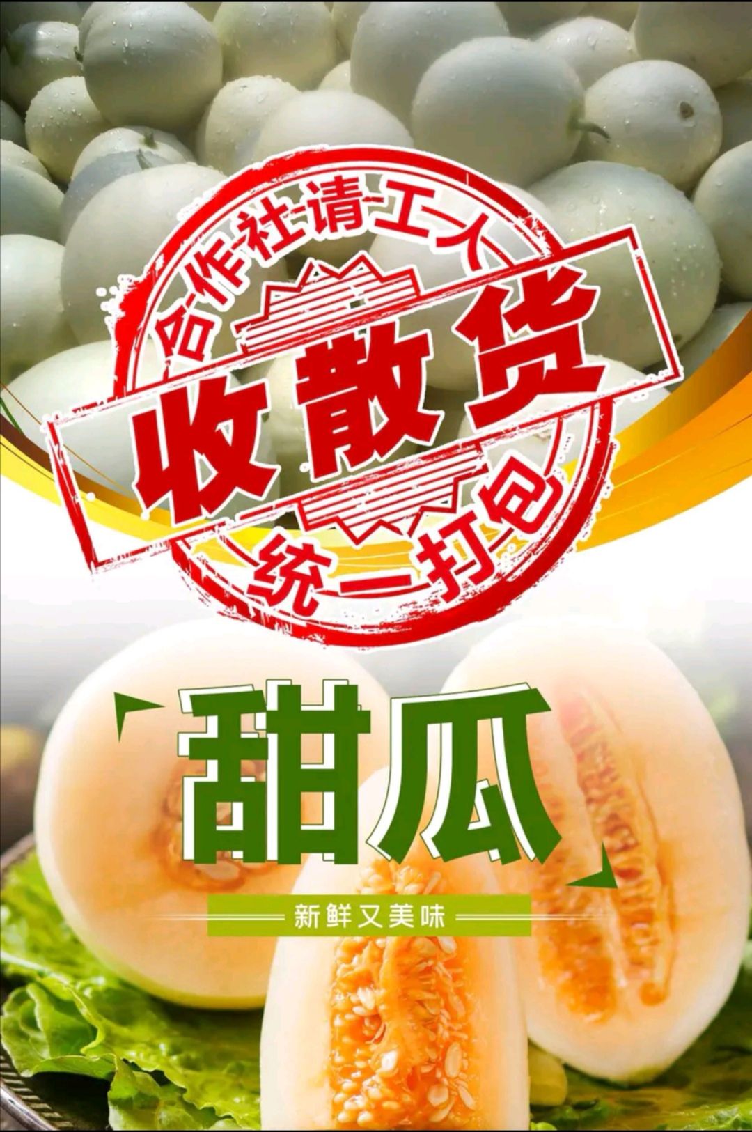 东方蜜甜瓜  浙江台州东方蜜①号甜瓜，对接市场，商超，欢迎来电