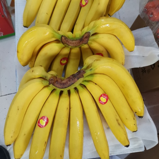  大量已黄香蕉上市