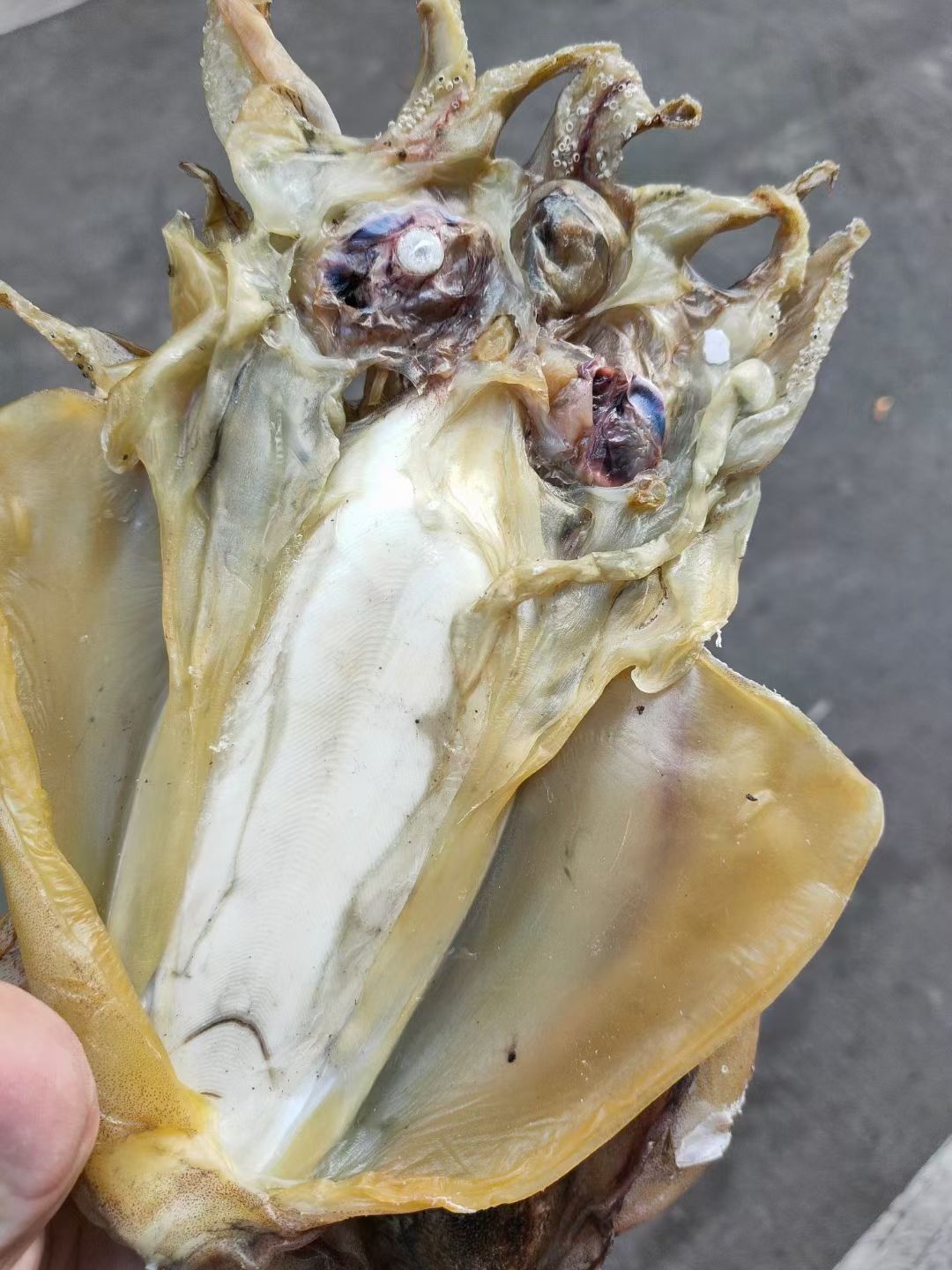 墨鱼干