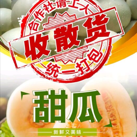 三门县东方蜜甜瓜  浙江台州东方蜜①号甜瓜，对接市场，商超，欢迎来电