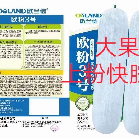 欧粉3号冬瓜种子~耐热耐湿单瓜重30公斤上粉快腔小