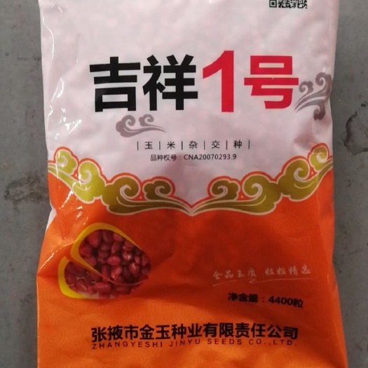 郑州吉祥一号玉米种子 吉祥1号