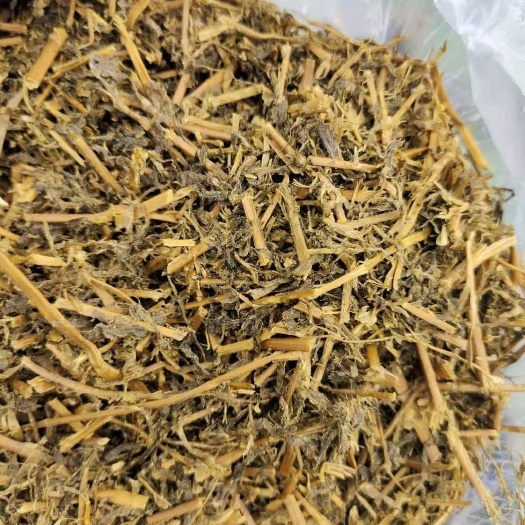 东阿县苜蓿草 