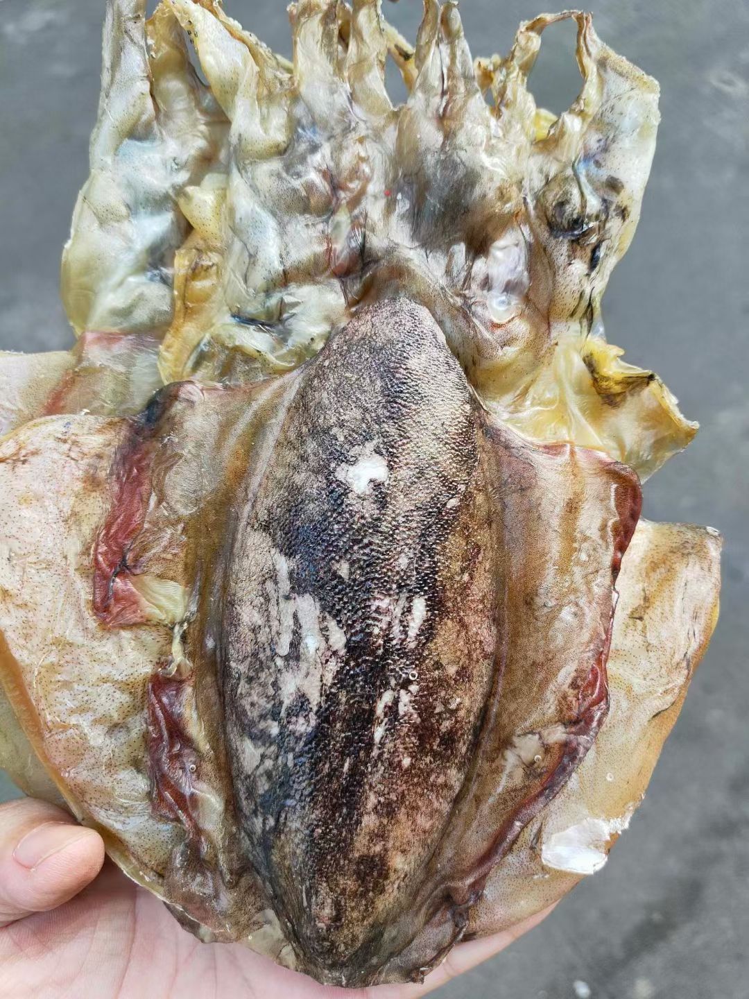 墨鱼干