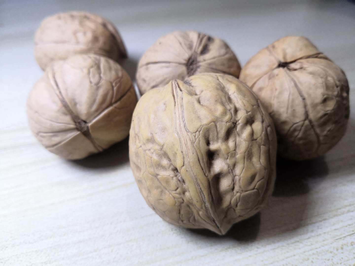 清香核桃 河南灵宝朱阳特产