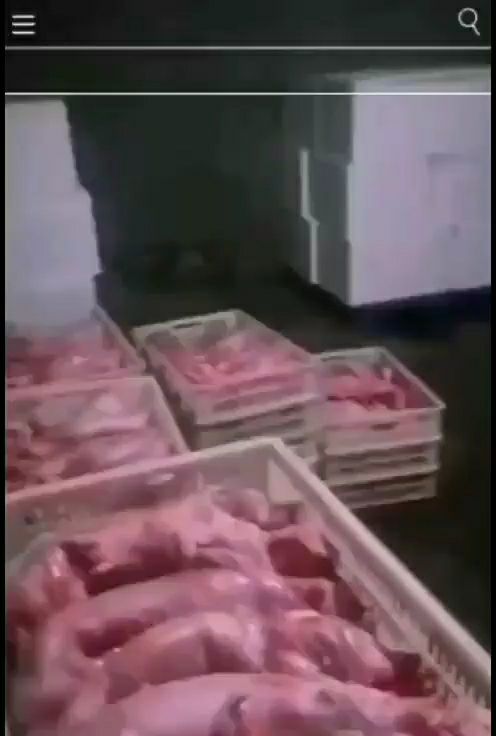 各种规格兔肉白条和分割兔肉产品