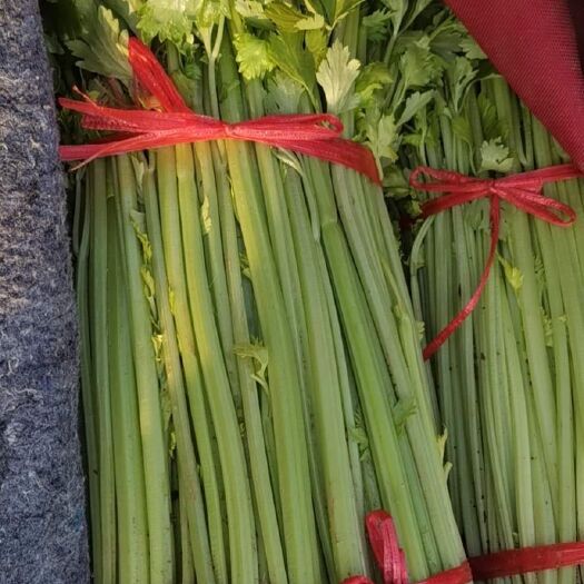 兰陵县香芹