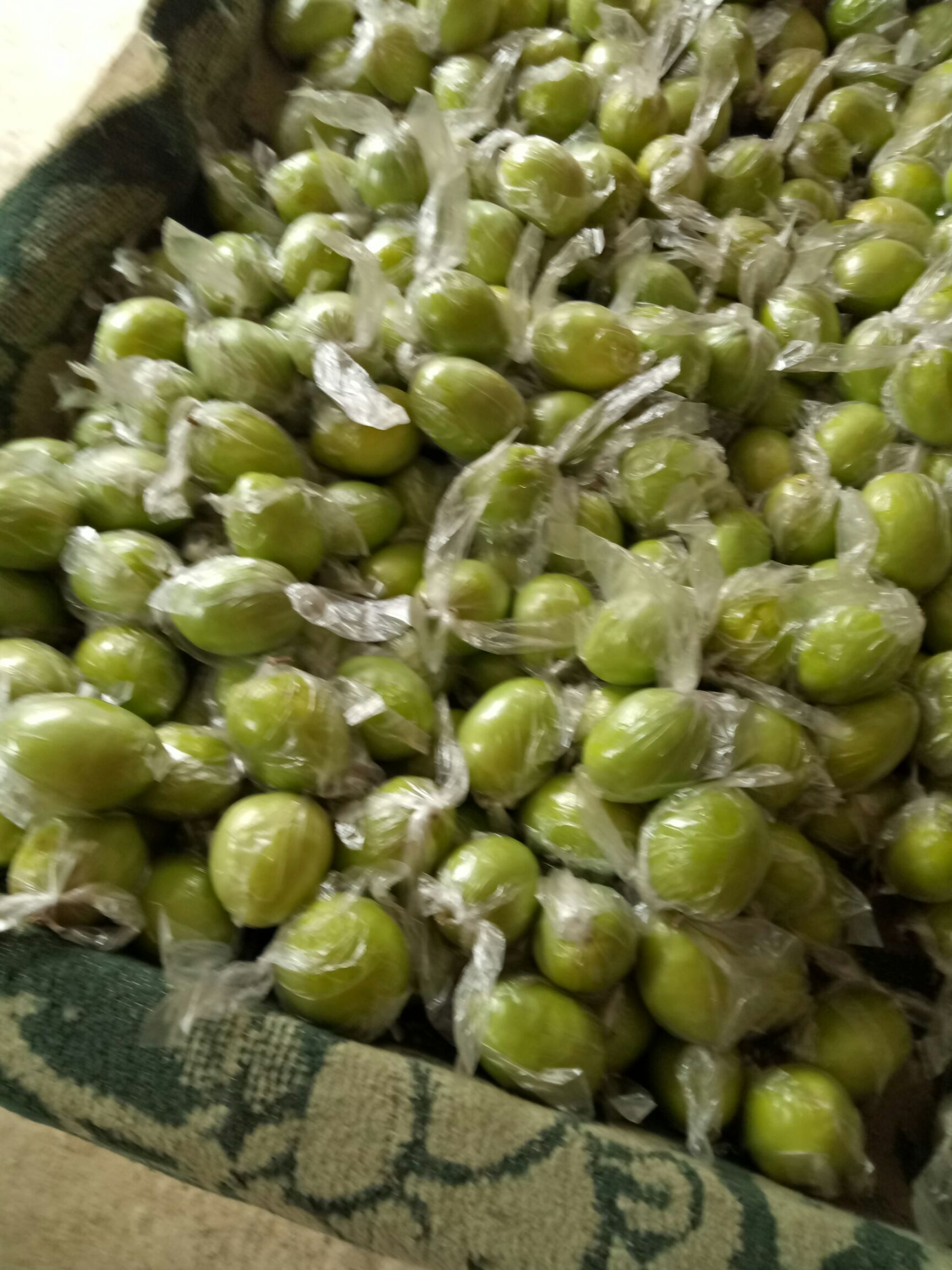 广西平南基地大青枣蜜丝枣牛奶枣