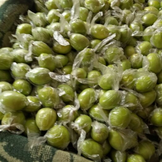 平南县广西平南基地大青枣蜜丝枣牛奶枣