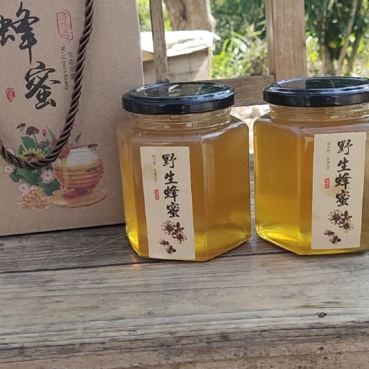 阳春市鸭脚木蜜  中蜂鸭脚木冬蜜