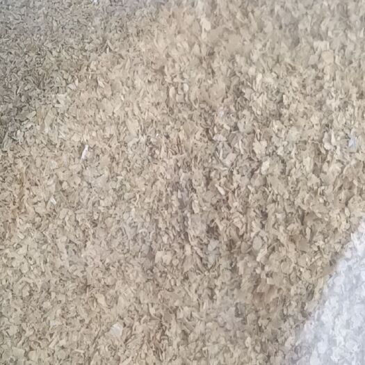 蚌埠麦麸 