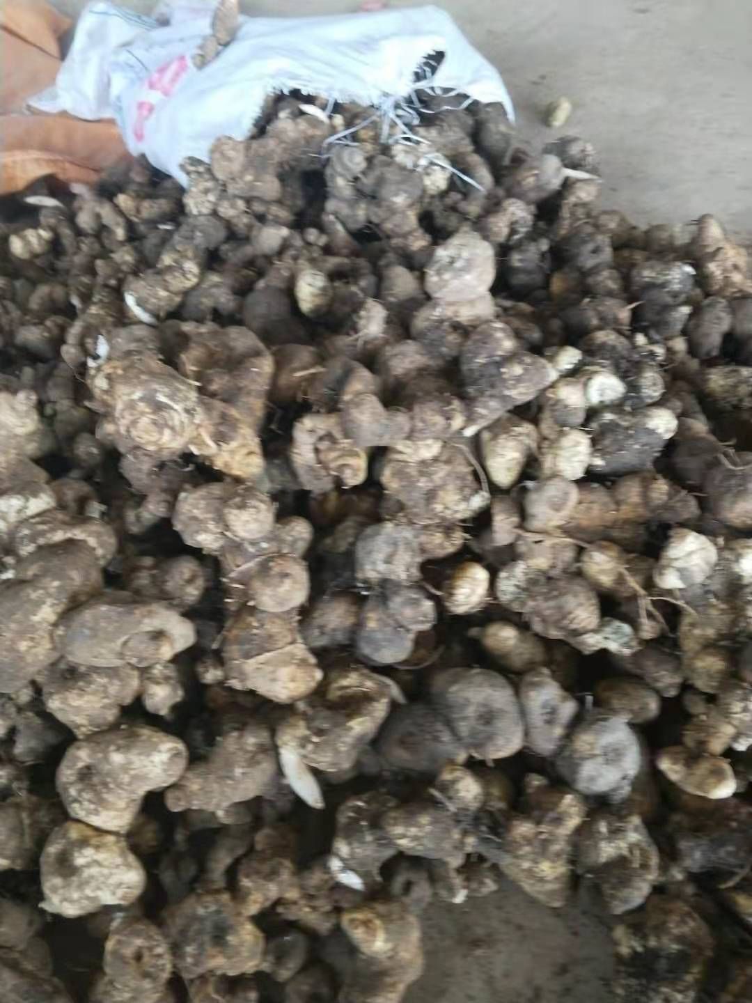 甜黄精  湖南鸡头黄精    15一斤