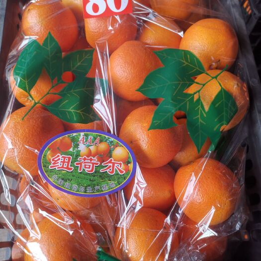 麻阳县纽荷尔脐橙