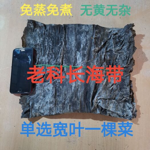 武陟县干海带  老科长海带片：特优一棵菜.单选宽叶.色黑无杂去须