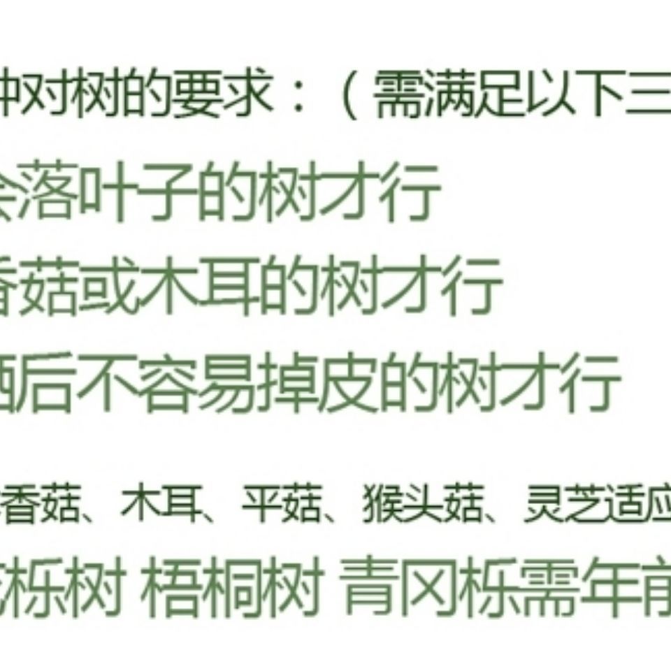 高温型早熟椴木香菇菌种种子种苗食用菌菌种香菇药水冬菇