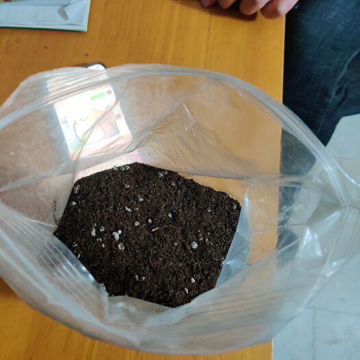 寿县木屑 栽培基质