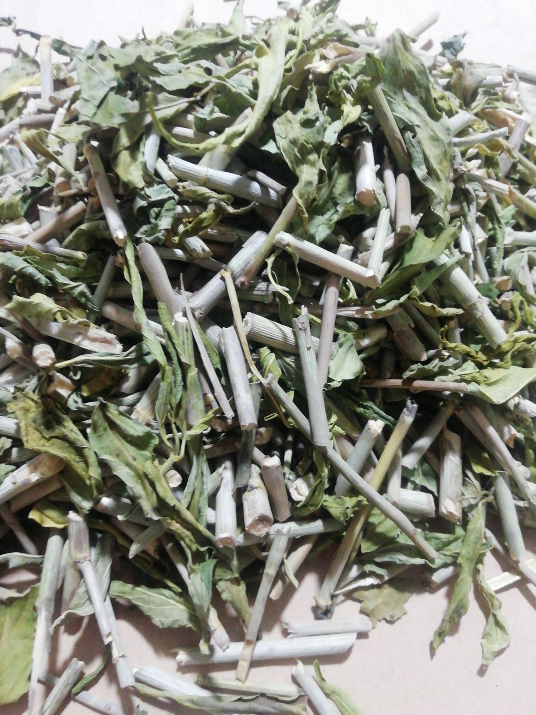  忧遁草全草