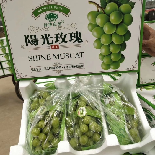 晋州市阳光玫瑰 河北阳光葡萄大颗粒晴王礼盒装