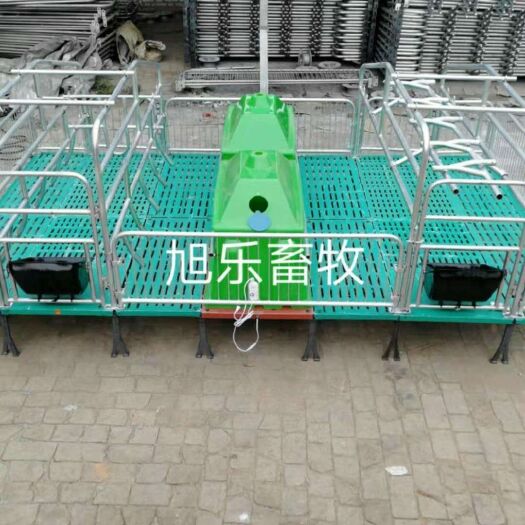 泊头市 母猪产床
