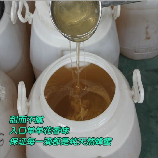 西林縣野蜂蜜  冬蜜百花蜂蜜