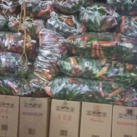 镇平县彩椒 辣椒开始整车对外发货，订金留货。
