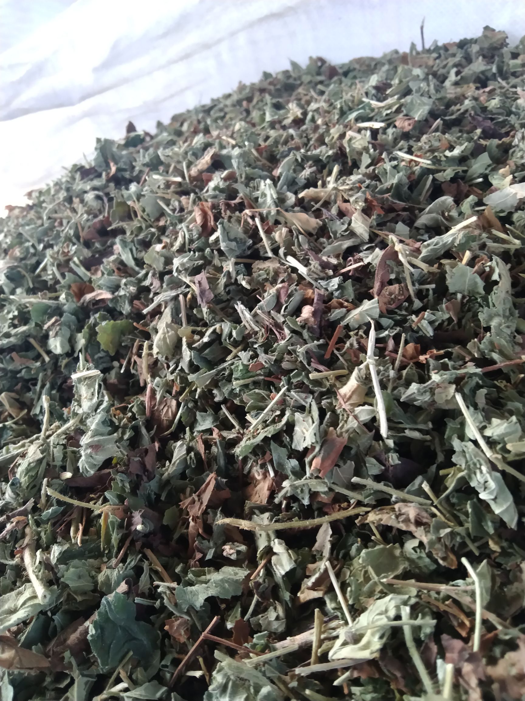 仙鹤草 图片实拍，无美颜无滤镜！此为统货价格