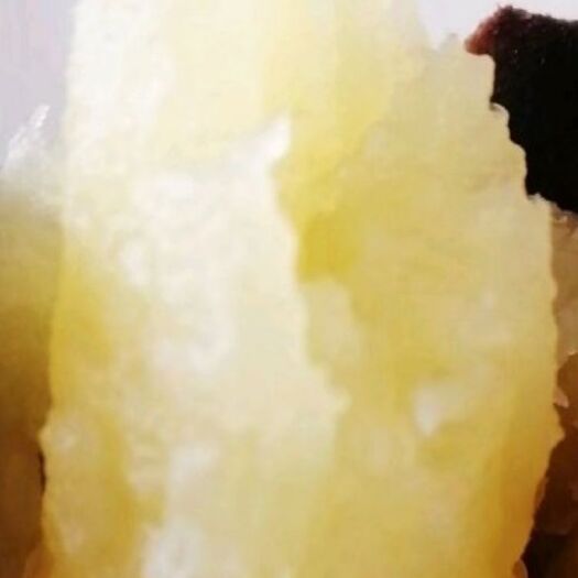 禹州市哈蜜红薯苗  哈蜜冰糖芯红薯苗 ，香，甜，粉，糯，产量高