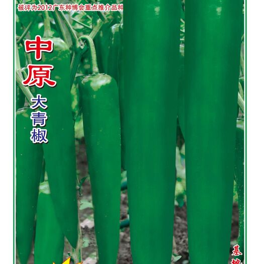 南靖县牛角椒种子  绿霸中原 青椒种子 中早熟 果深绿色 长粗牛角