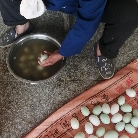 衢州青皮鸭蛋 食用 箱装 