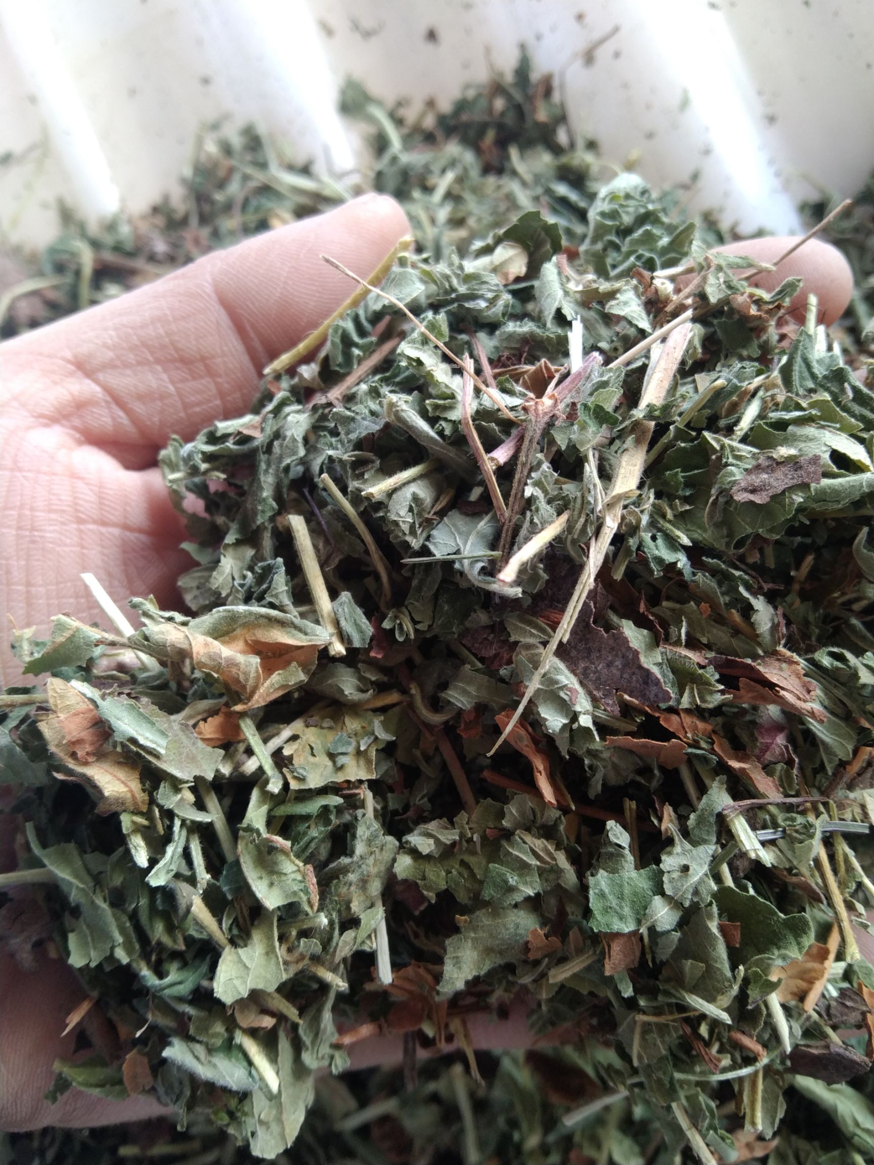 仙鹤草 图片实拍，无美颜无滤镜！此为统货价格