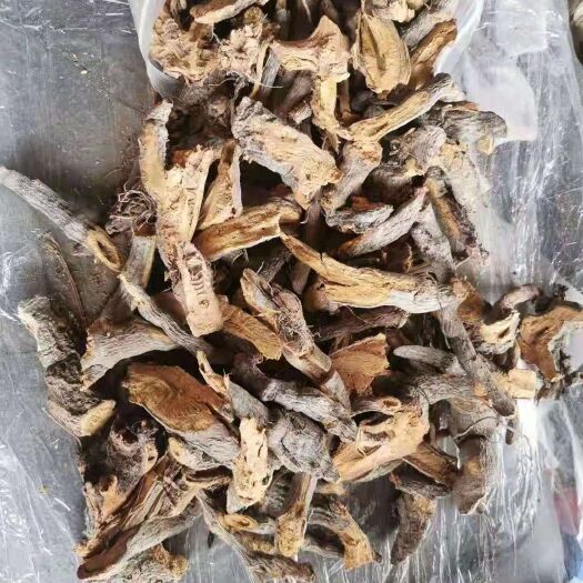  大别山虎杖段子！