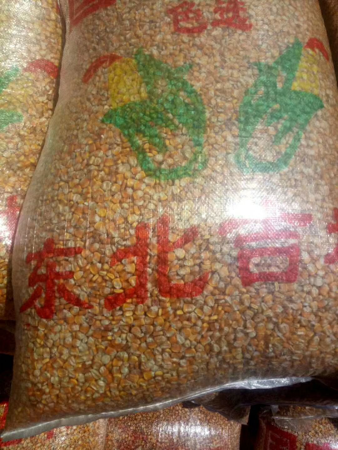 黄玉米粒  威宁黄玉米