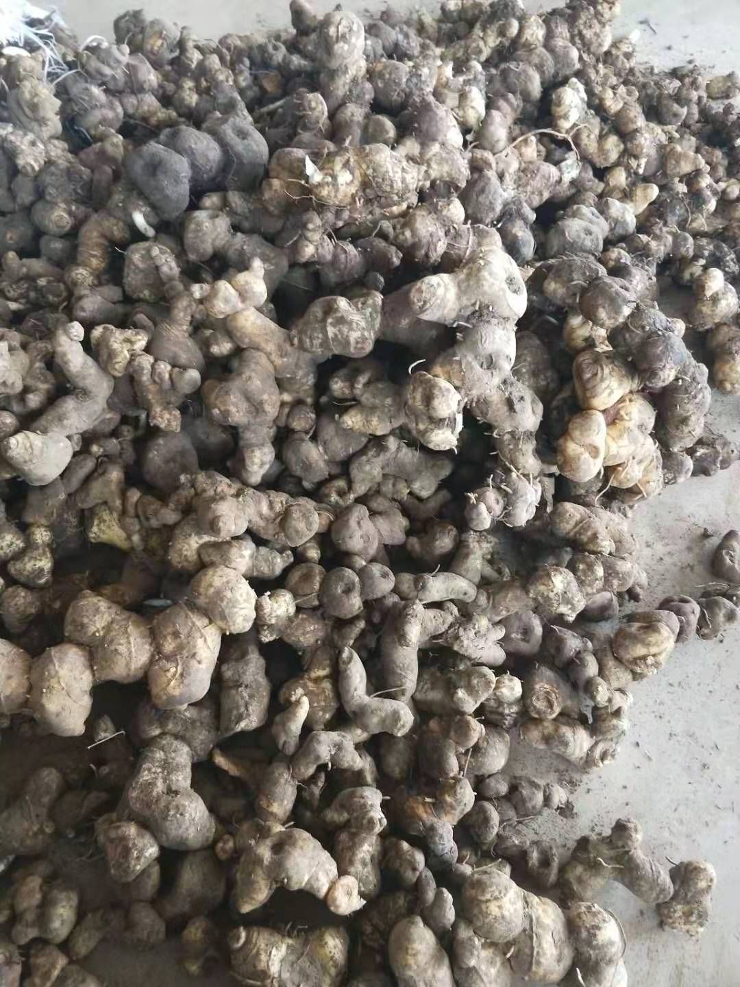 甜黄精  湖南鸡头黄精    15一斤