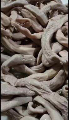 牛肠  厂家直销国产熟牛小肠