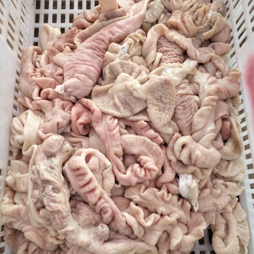 河池卤猪肠 1个月 2021-05-13 - 2022-05-13