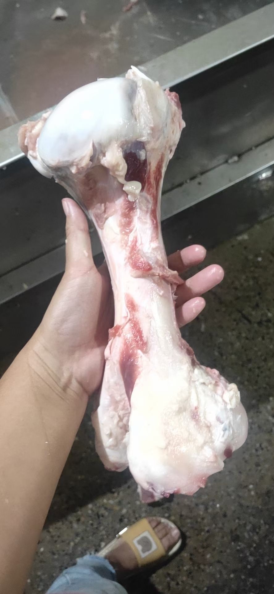牛骨 牛棒骨便宜可以长年供货