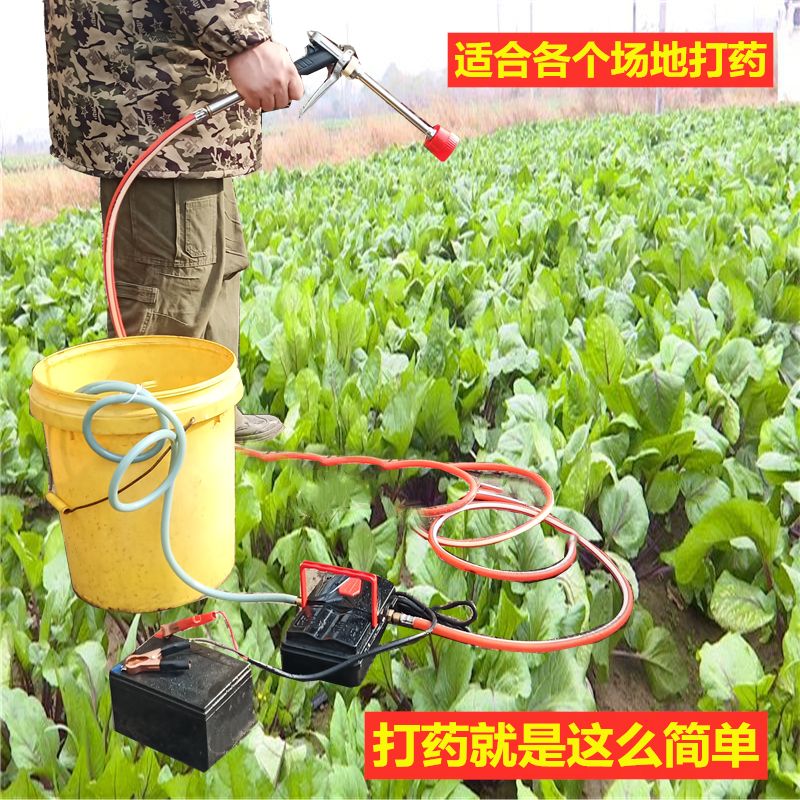 便携式智能农用打药机电动喷雾器式打药泵洗车消毒机隔膜泵打药机