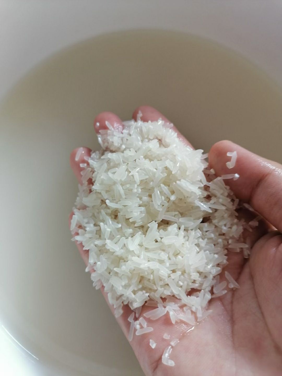 广东粤北地区农家晚稻丝苗米
