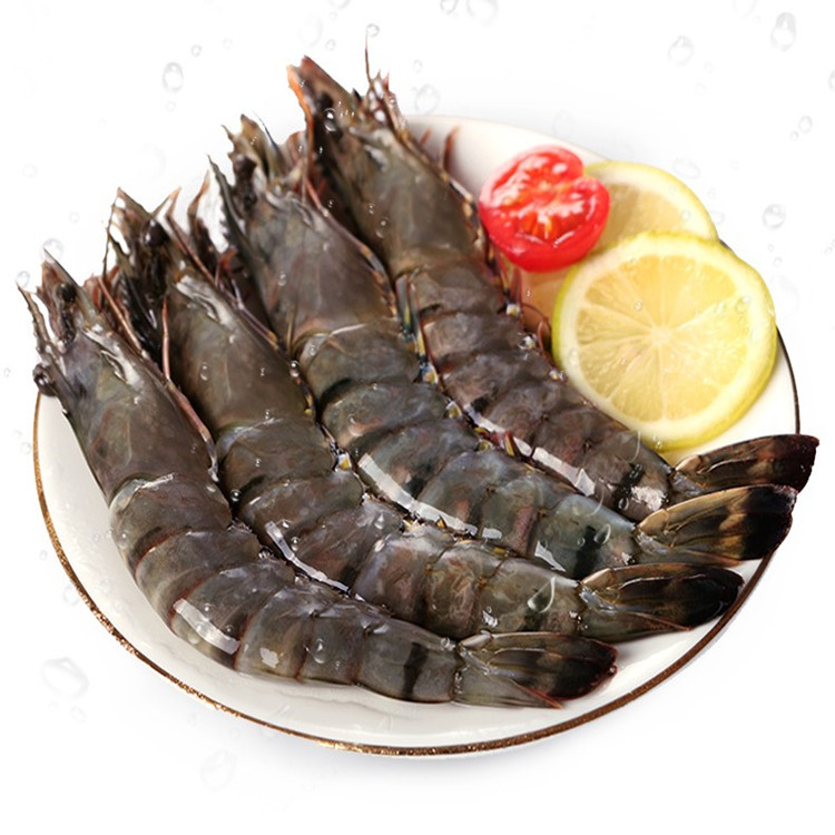 青虾  黑虎虾 活冻黑虎虾