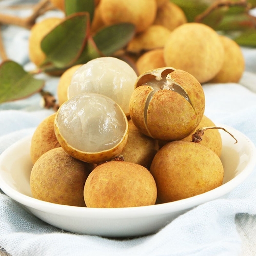灵山县四季蜜龙眼苗  四季蜜龙眼果树 苗嫁接苗  一年四季结果  反季节效益好