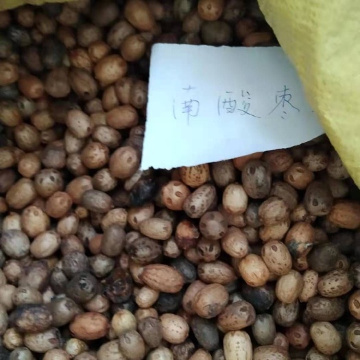 九江 南酸枣种子