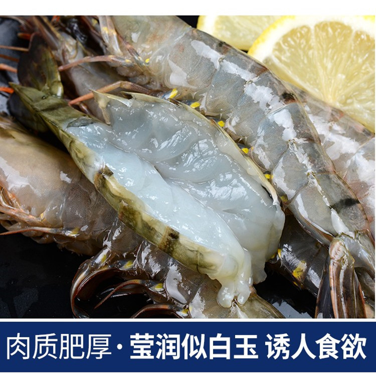 青虾  黑虎虾 活冻黑虎虾
