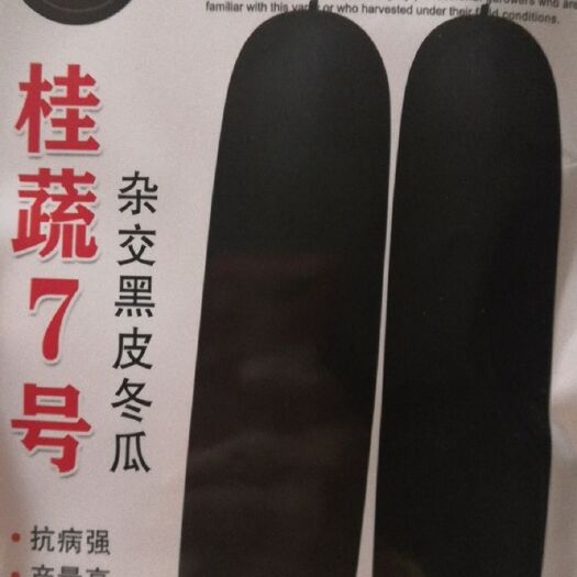 重庆市 冬瓜种子