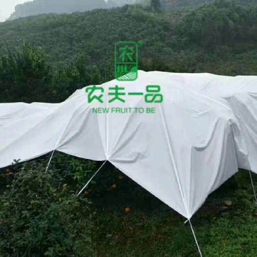 东莞市柑橘专用防寒布