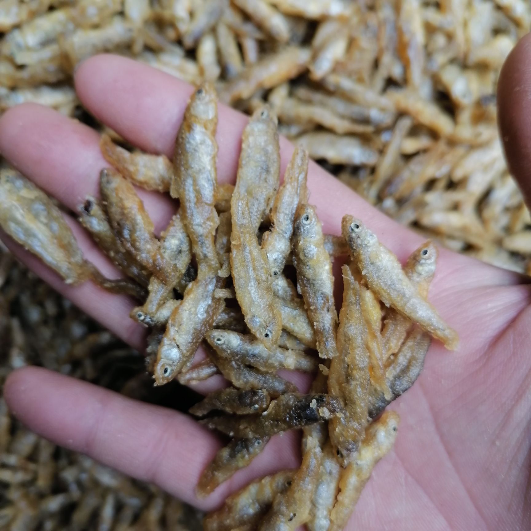 湖南水库鱼 油炸麦穗鱼 油炸弄子鱼火焙烤干小鱼仔