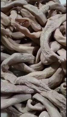 牛肠  厂家直销国产熟牛小肠