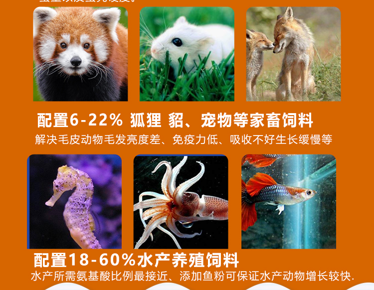 鱼粉养猪用鸡鸭鹅催肥草鱼鲤鱼泥鳅螃蟹虾类水产饲料海参贝类
