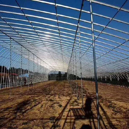 天津温室大棚加工批发蔬菜养殖大棚骨架连栋连体钢架温室骨架